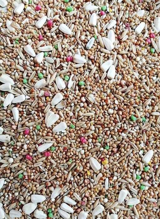 Karma dla papugi małej, z prosem i witaminami, 10kg