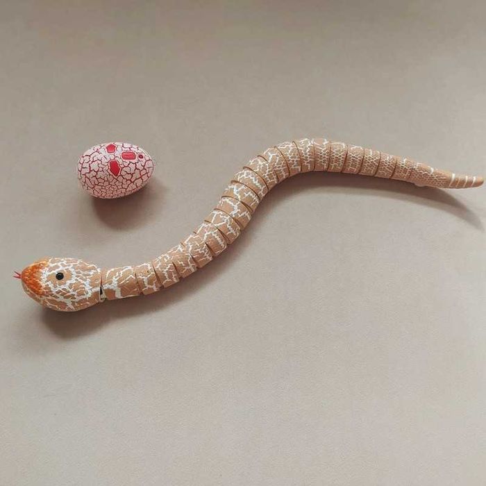 Wąż na pilota. Zabawka dla kota