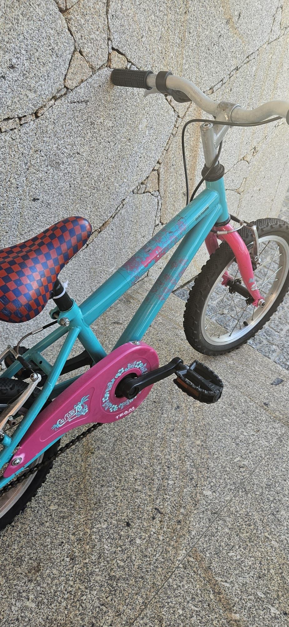 Bicicleta criança, team