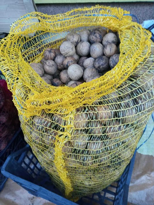 Orzechy włoskie zeszłoroczne