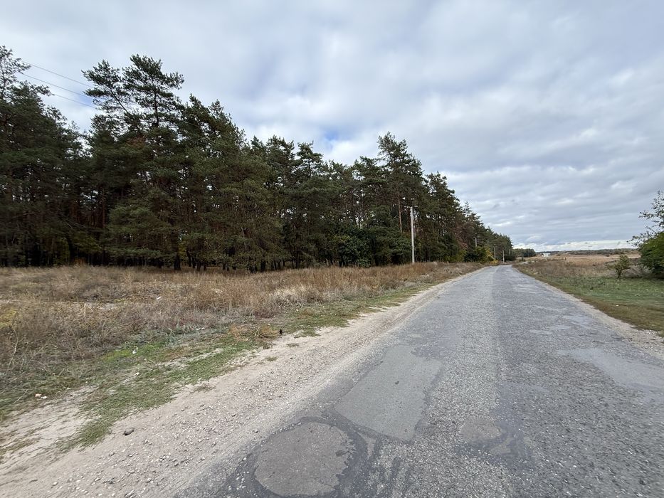 Продам участок с. Орловщина возле соснового леса