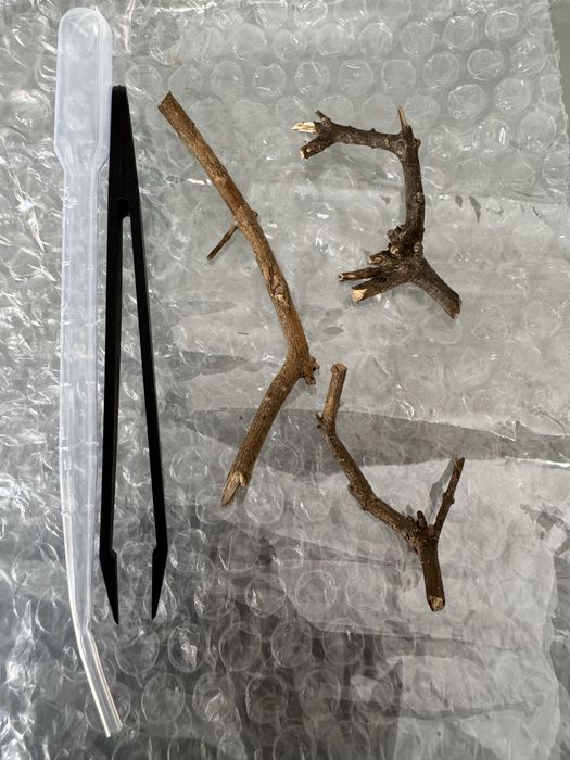 Kit Terrário para aranhas, répteis, insectos etc.