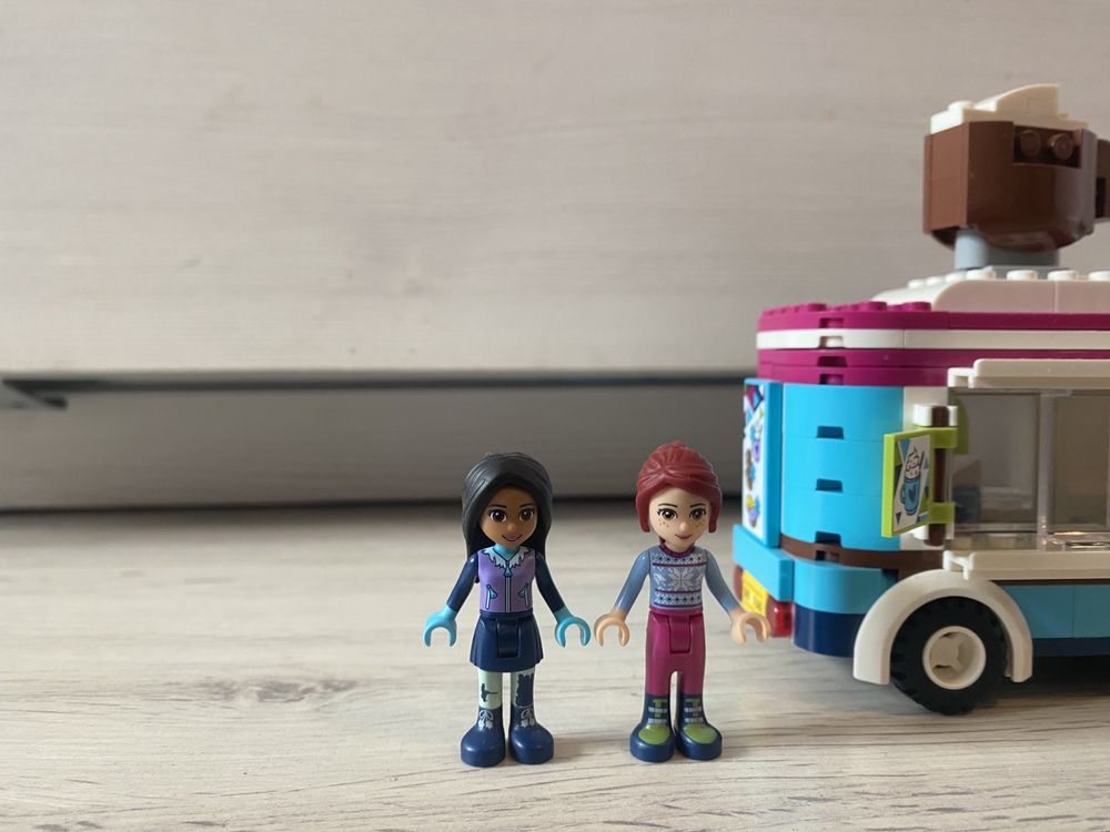 Lego Friends 41319