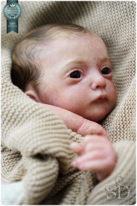 Studio Doll reborn doll - Ana Gudrun Legler prawdziwy reborn 3D skóra