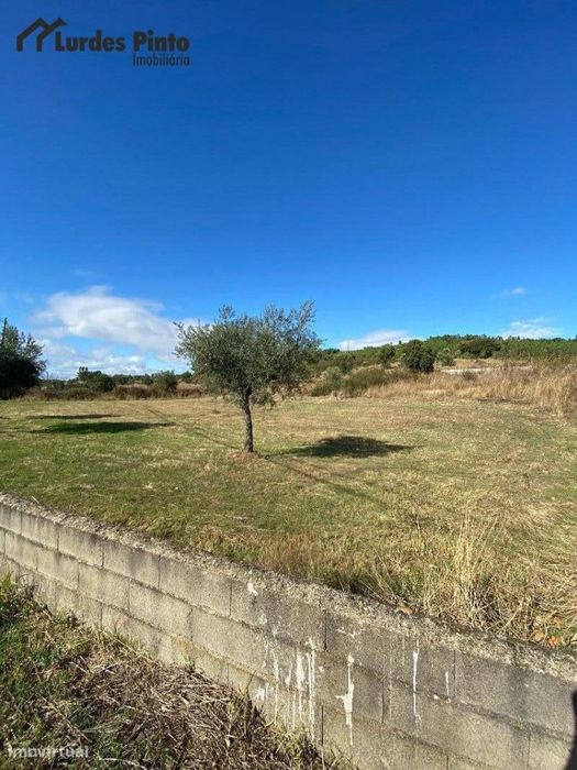 Terreno Agrícola em Palvarinho