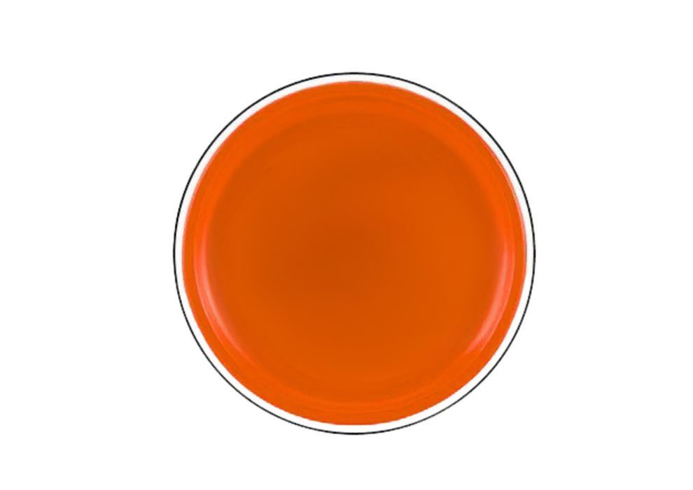 dysk latający frisbee z dinozaurem pomarańczowy 20 cm