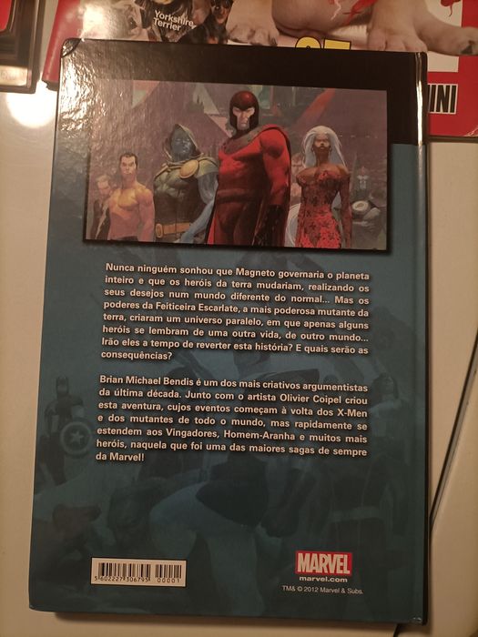 BD X-Men e a dinastia de M