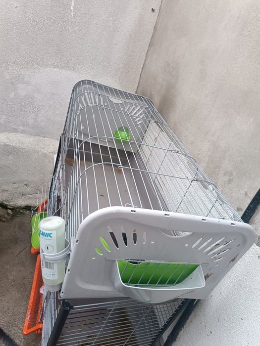 Viveiro de porquinho da Índia