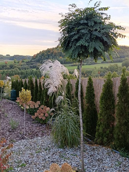 Domek Góralski Gruszkowy Wzorek okolice Szczawnicy