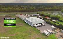 Magazyn z dokami przy  S8 x Via Carpatia  / 1710m2