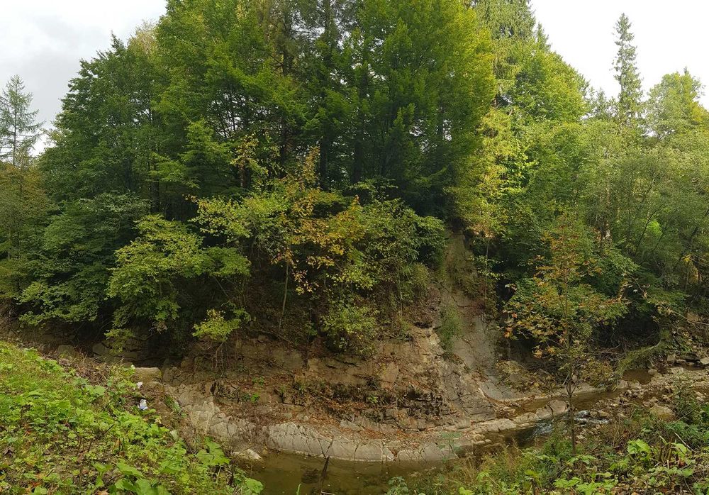 Продається земельна ділянка у с. Черганівка (Косів район, ІвФран обл.)