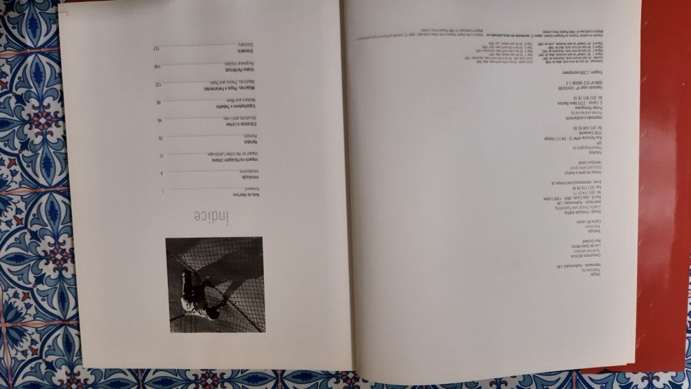 Livro  Ponte 25 de Abrl