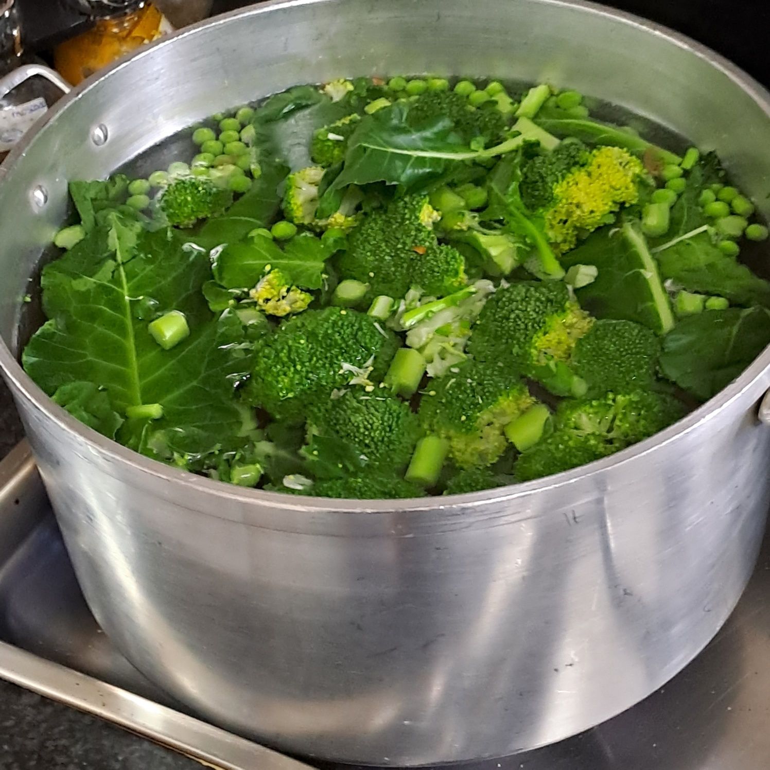 Comida caseira para cão