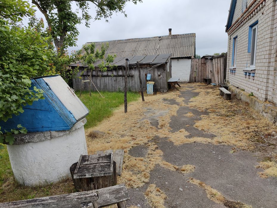 Дім в с. Бабичівка, вул. Дружби, 12, Житомирська область