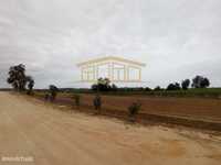 Terreno com projeto aprovado para Quinta Rural