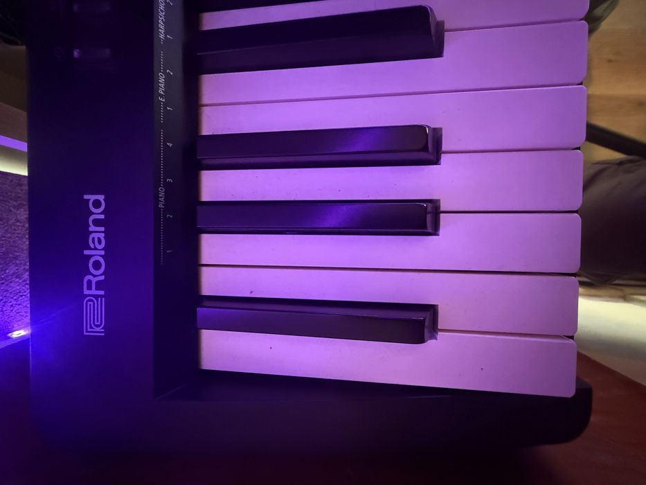 Roland FP-10 como novo
