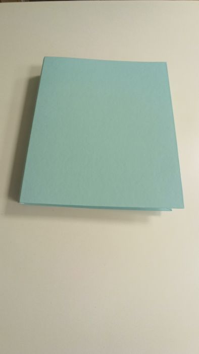 Папка-сегрегатор