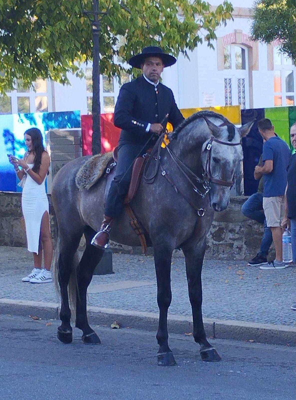 Cavalo Psl inteiro