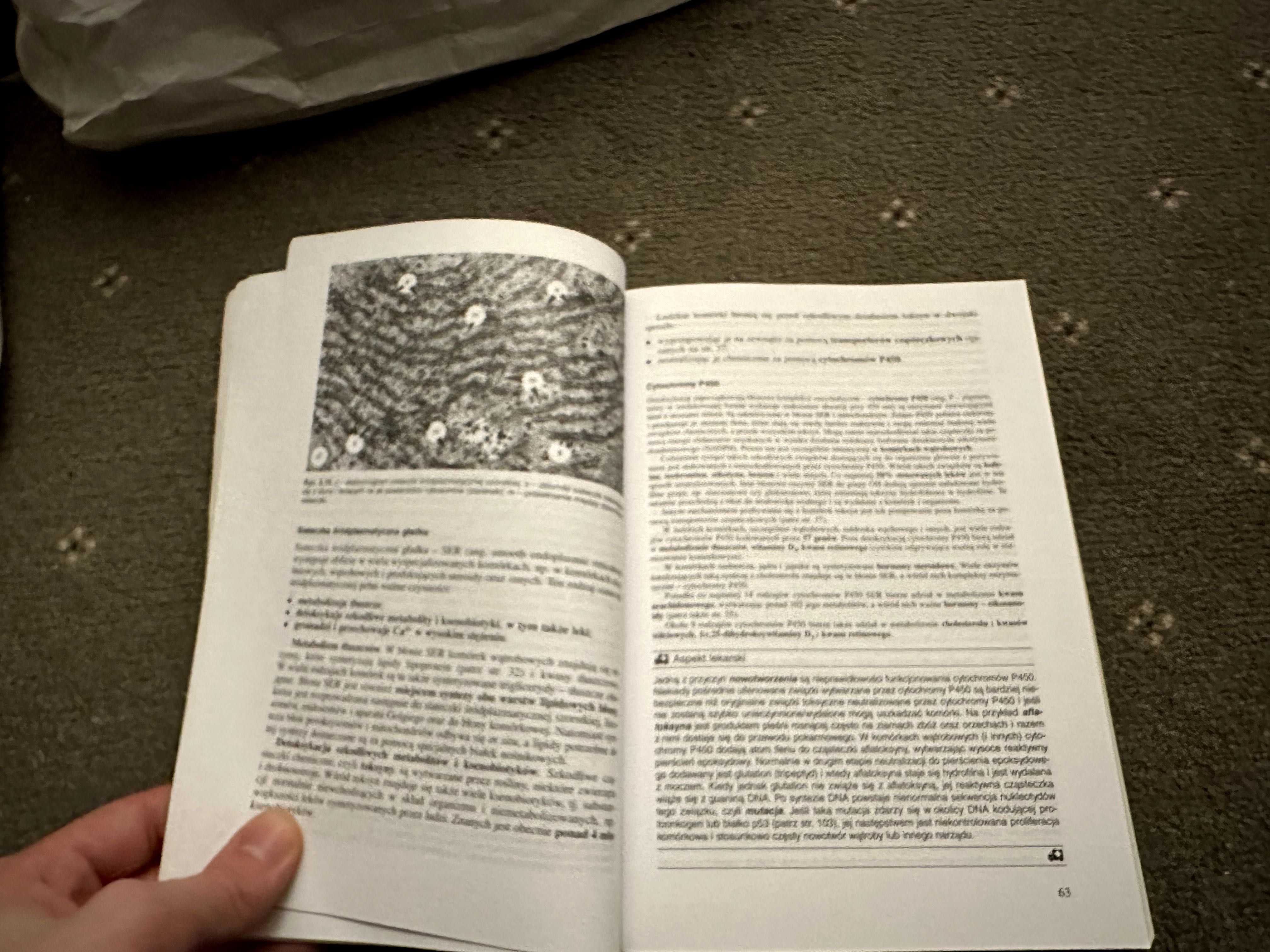 Histologia - Sawicki - PZWL - 2009