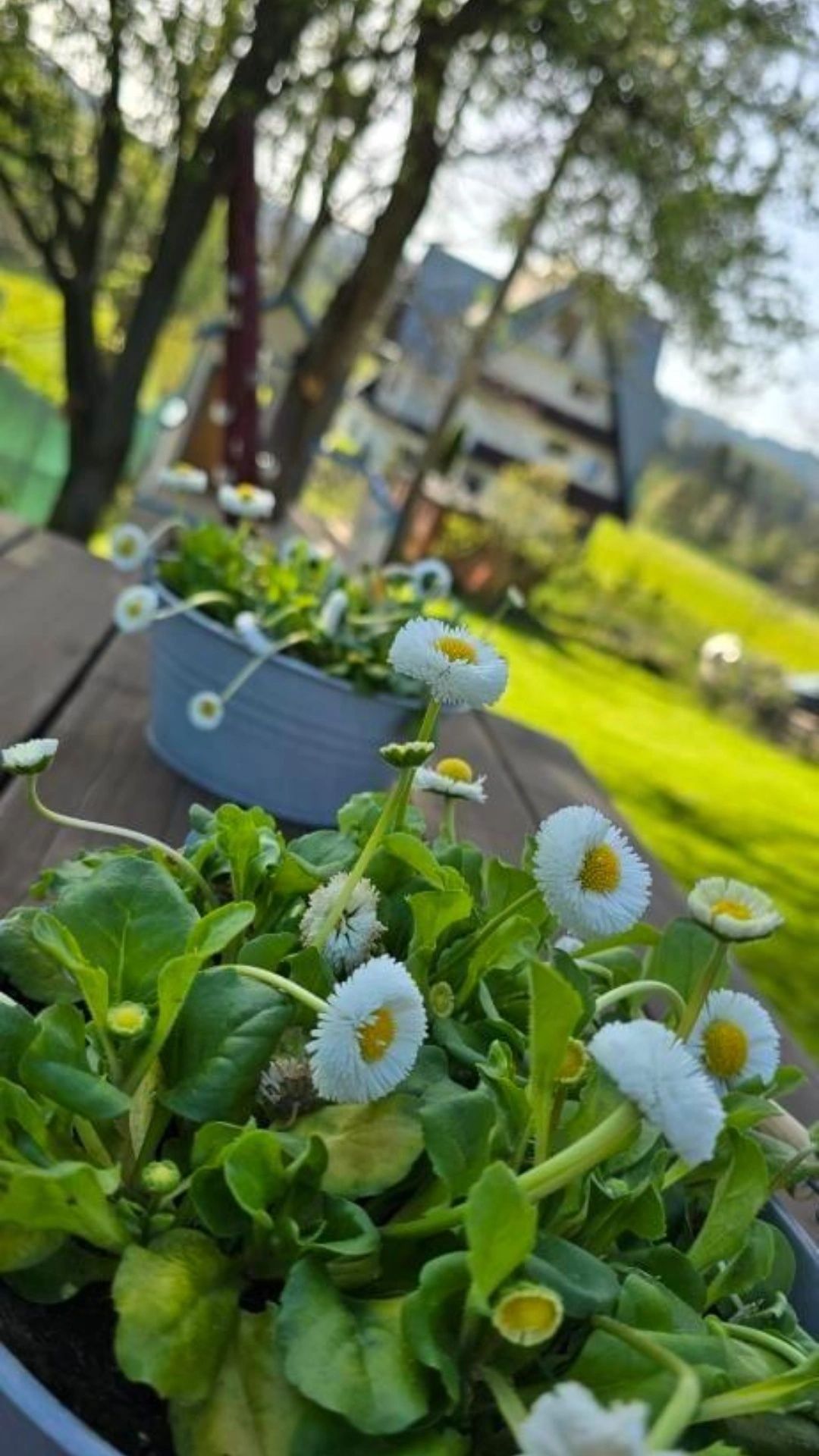 Apartament Studio Loft *Tatry *Jacuzzi *