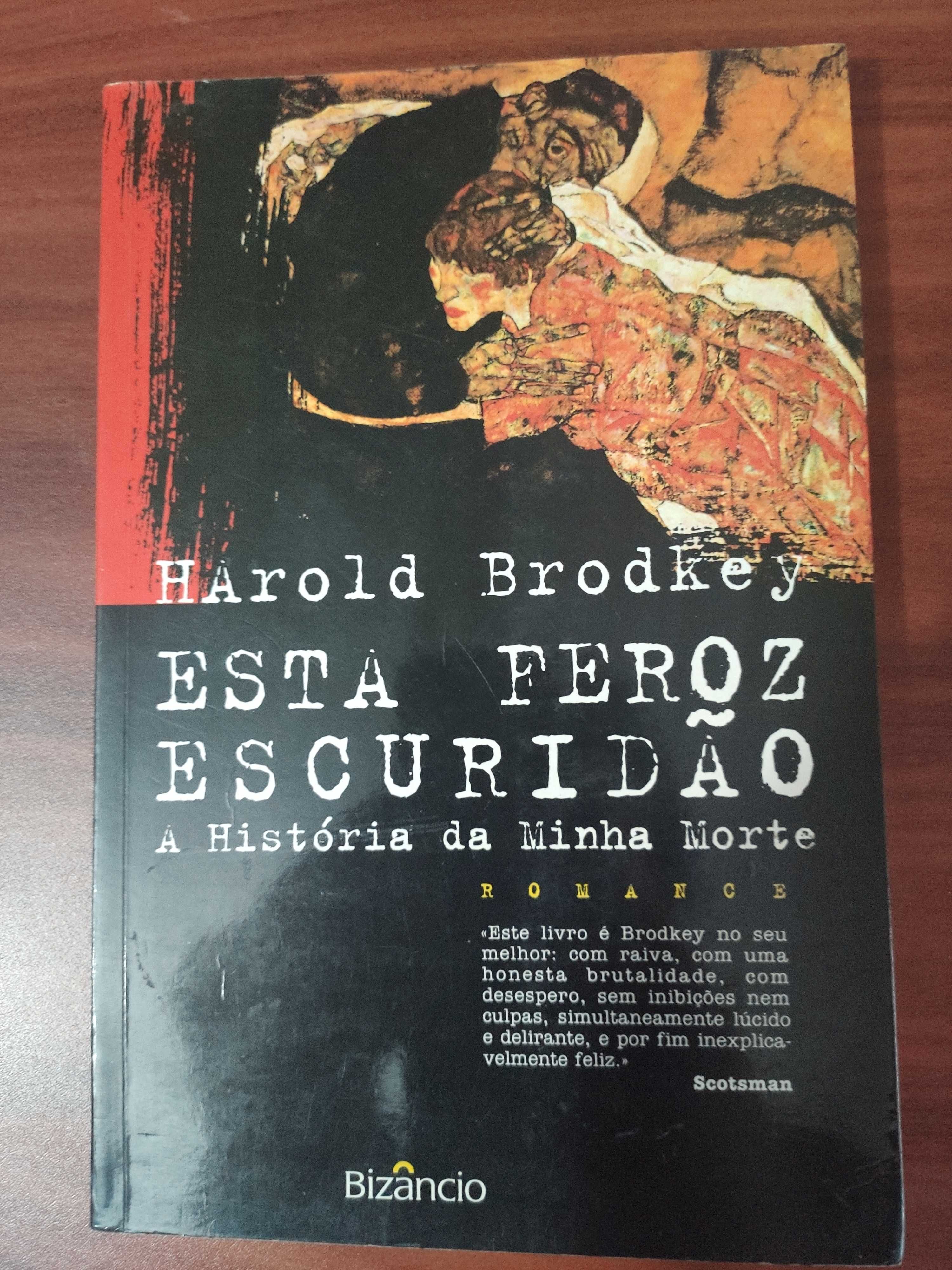 Harold Brodkey, Esta feroz escuridão