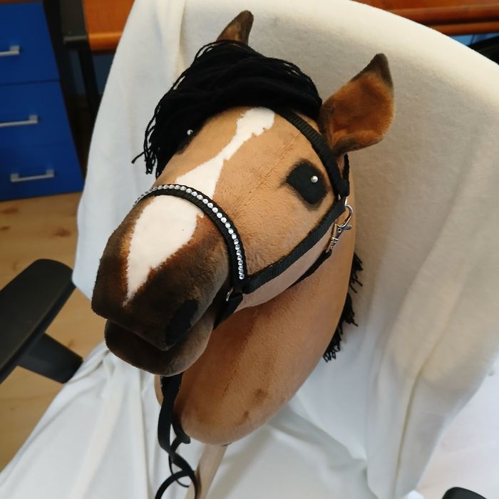 Hobby Horse A4 + gniady