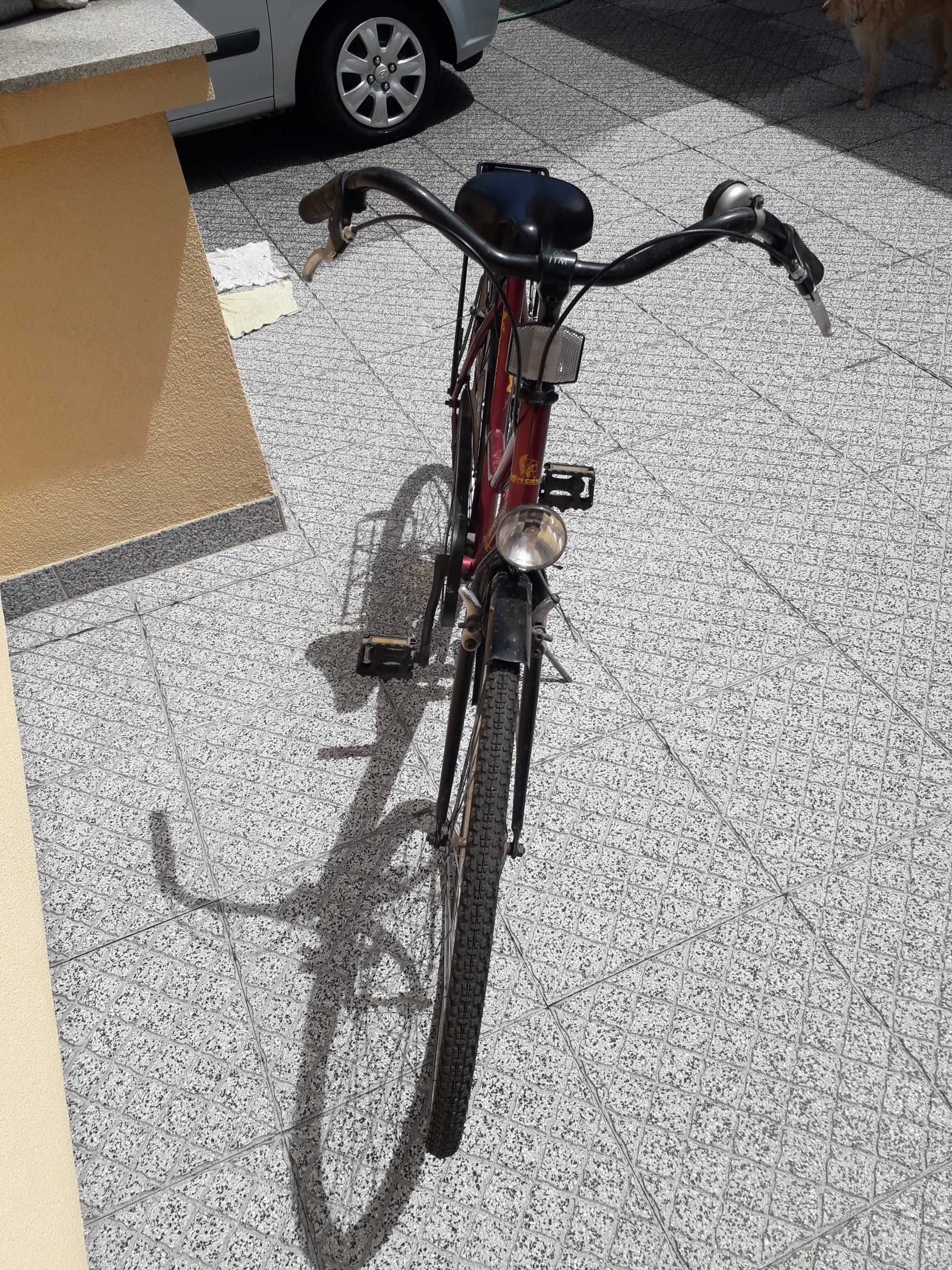 Bicicleta Antiga