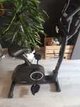 Rower treningowy  stacjonarny Crane