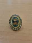 Pins Militares e Paramilitares