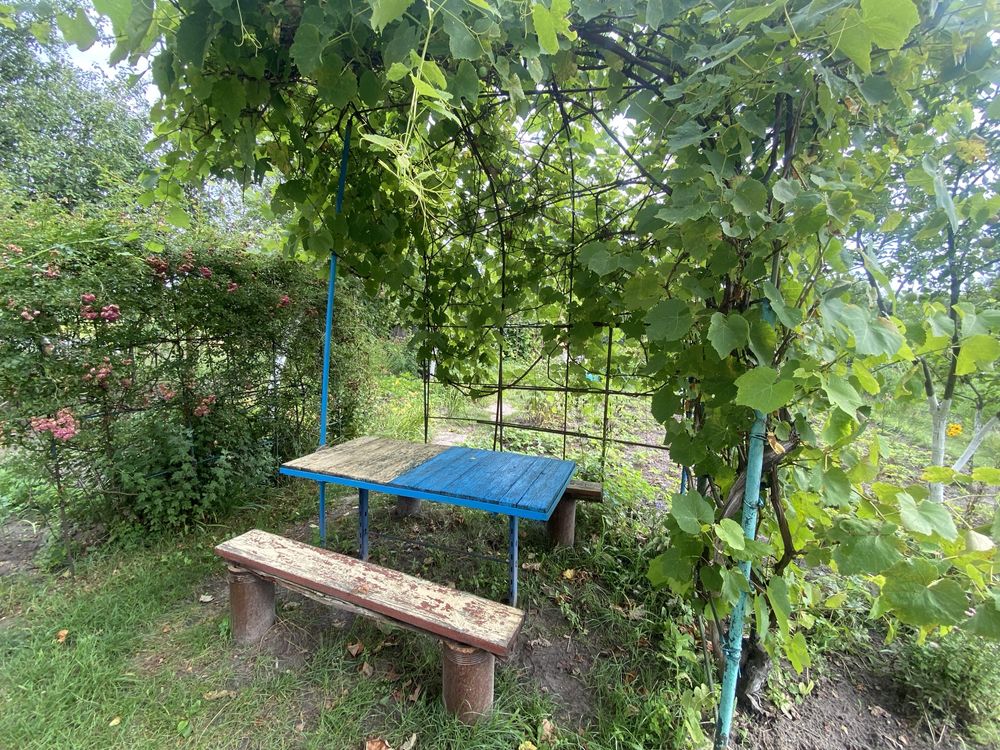 Терміново Продам Дачу не далеко від міста!