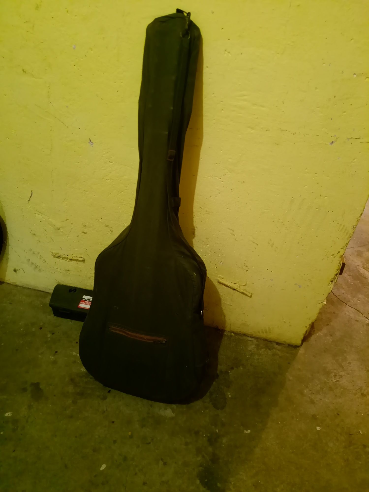 Gitara delfin 12 akustyczna