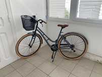 Bicicleta oldschool