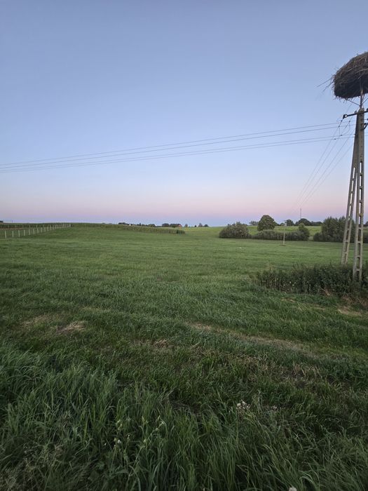 Działka 3600 m² Bargłów Dworny – spokojna okolica, blisko Augustowa