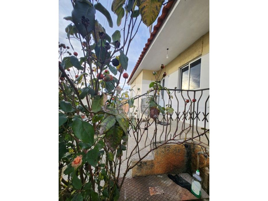 Moradia T2+1 de Cave e Rés do Chão na Raia, Mateus, Vila Real