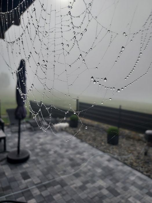 Domek, domki w górach z widokiem na Pieniny,Tatry i j. Czorsztyńskie