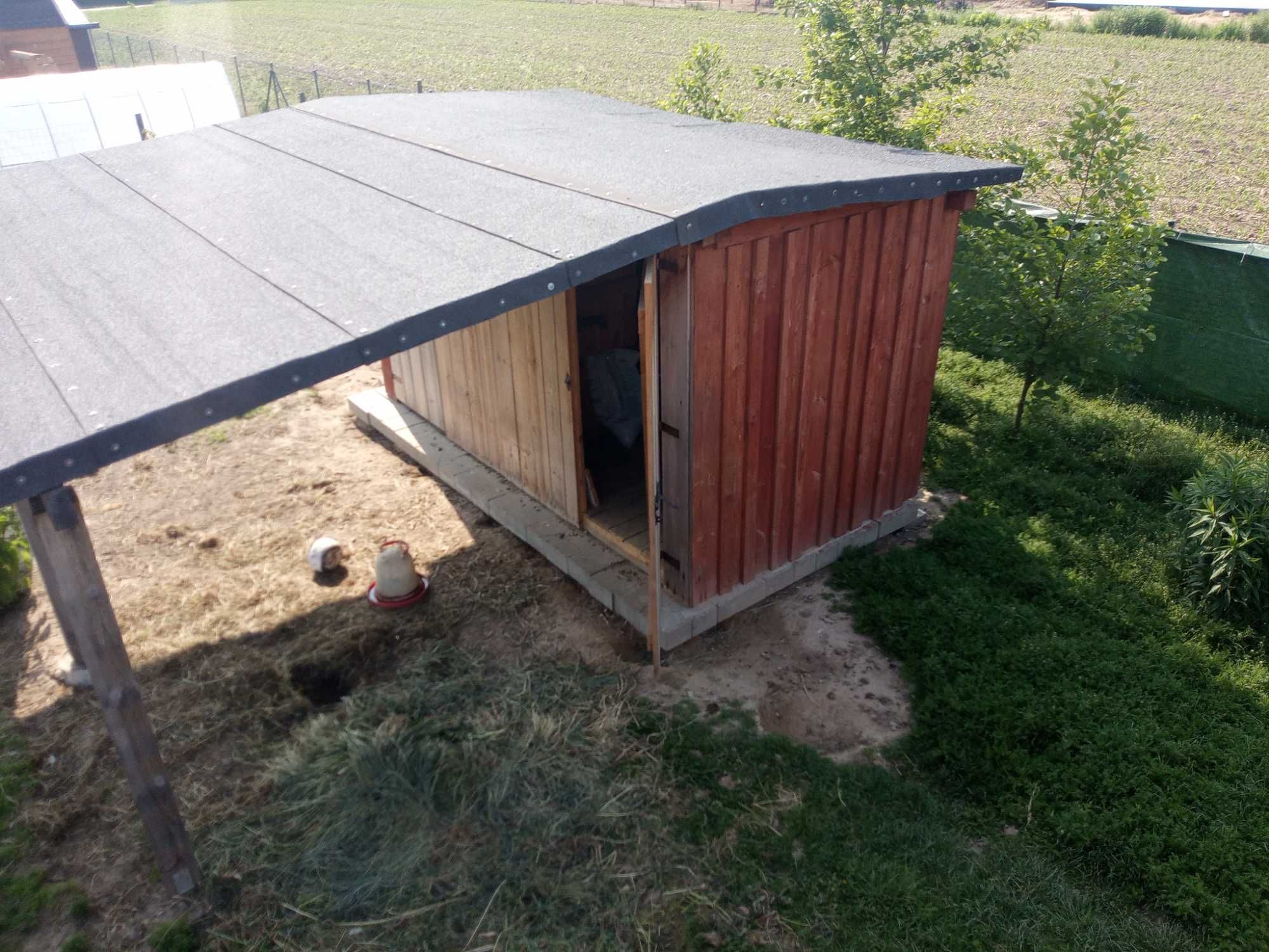 Kurnik gołębnik modrzew