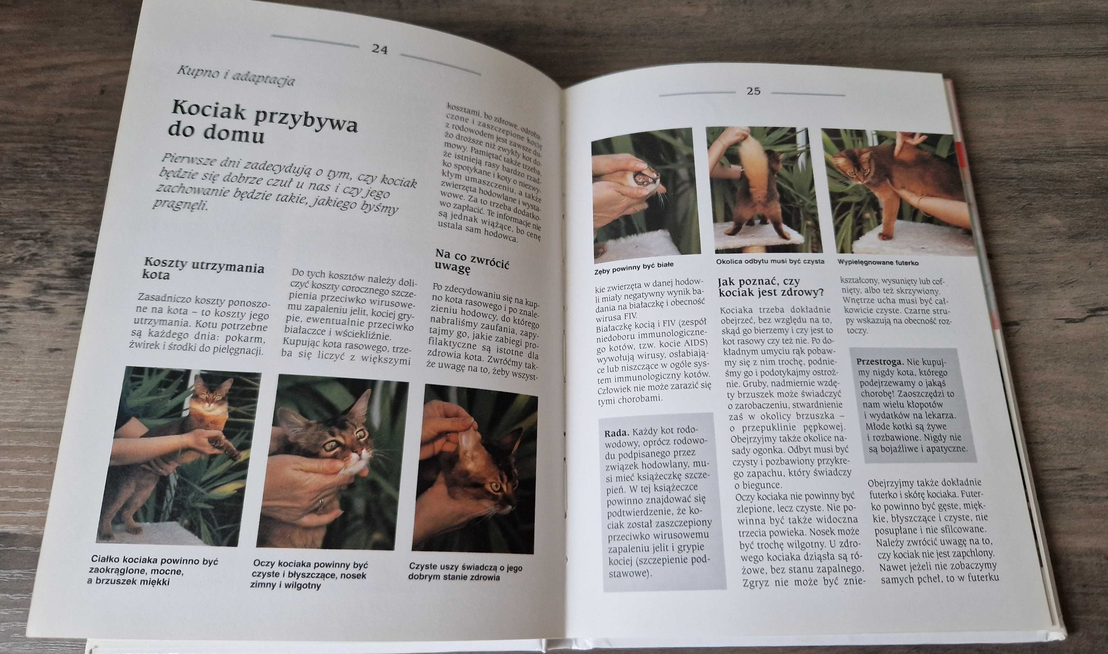 Kociak przybywa do domu Hannelore Grimm stan bdb