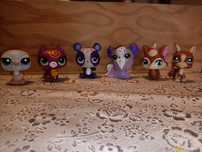 6 Little pet shop
