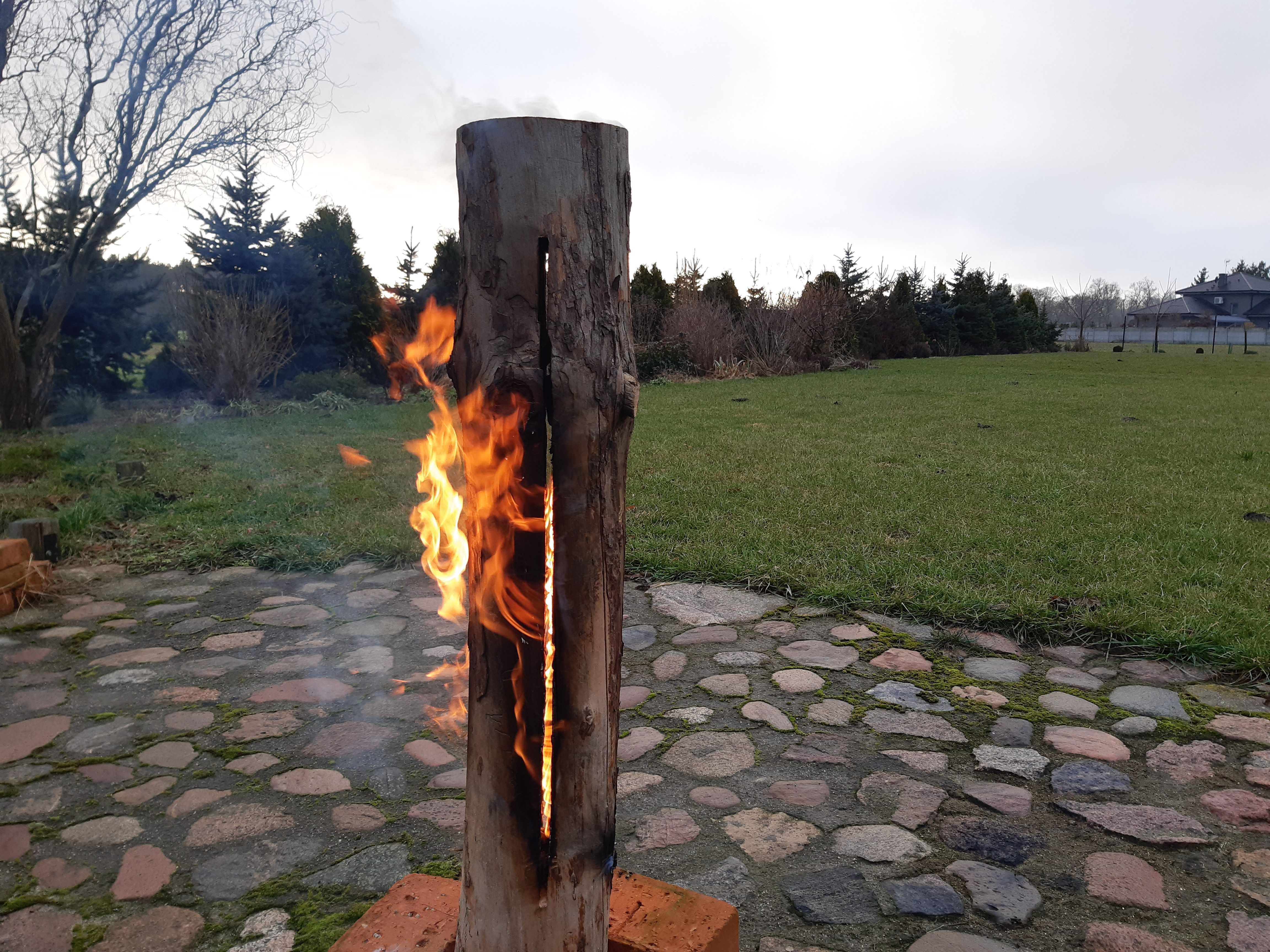 Pochodnia  , szwedzki ogień, pieniek sosnowy