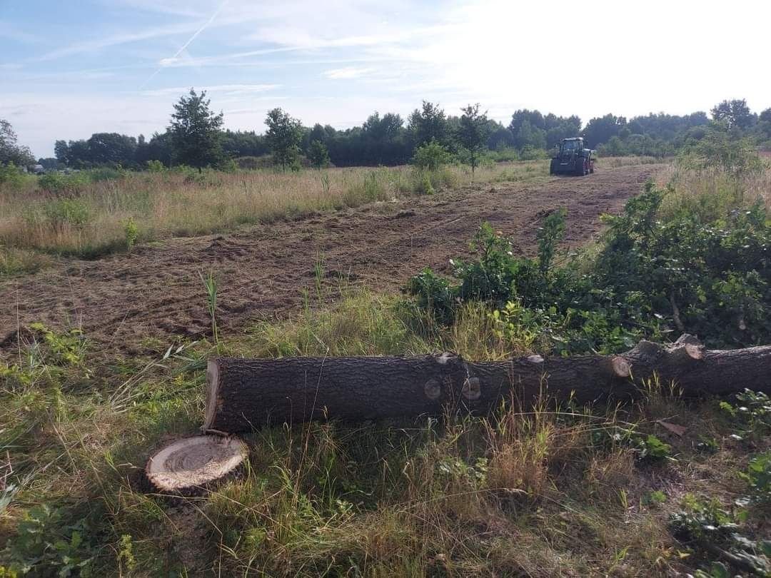 Wycinka drzew Mulczer Leśny Mulczer Wgłębny Mulczowanie Karczowanie