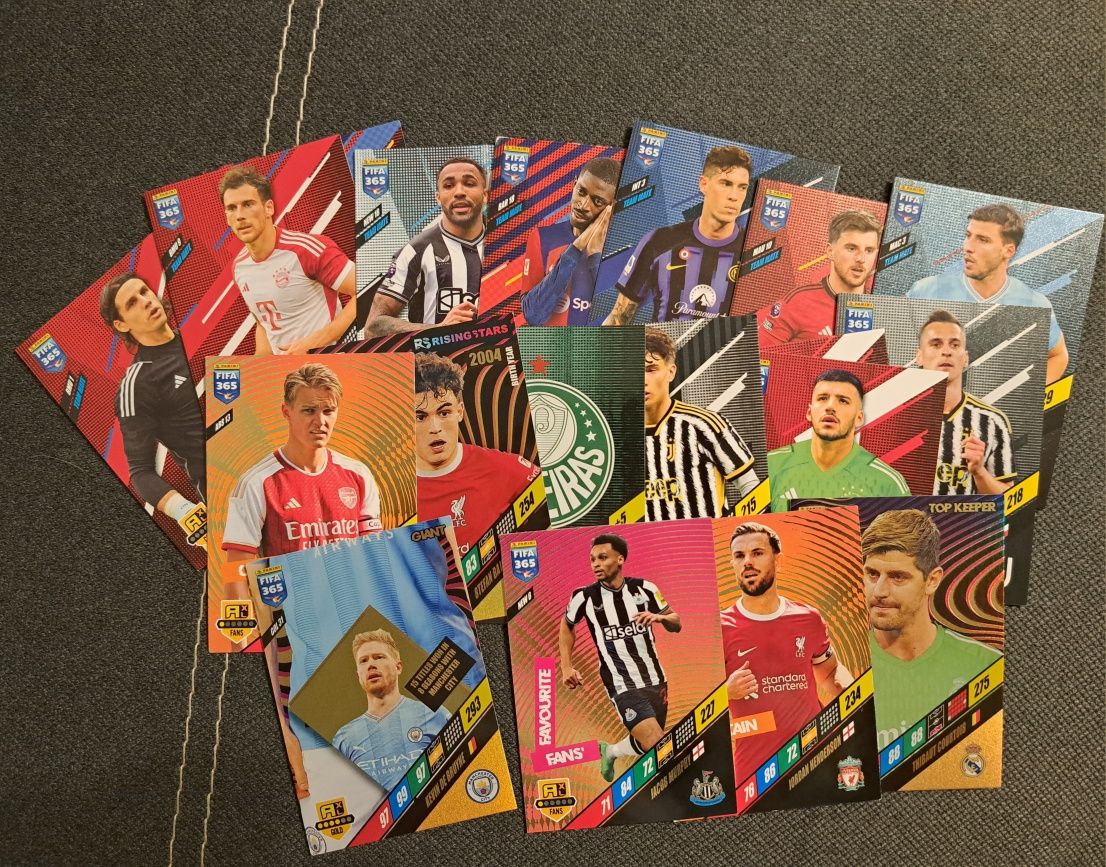 karta Palmeiras Panini Fifa 365 sezon 2024