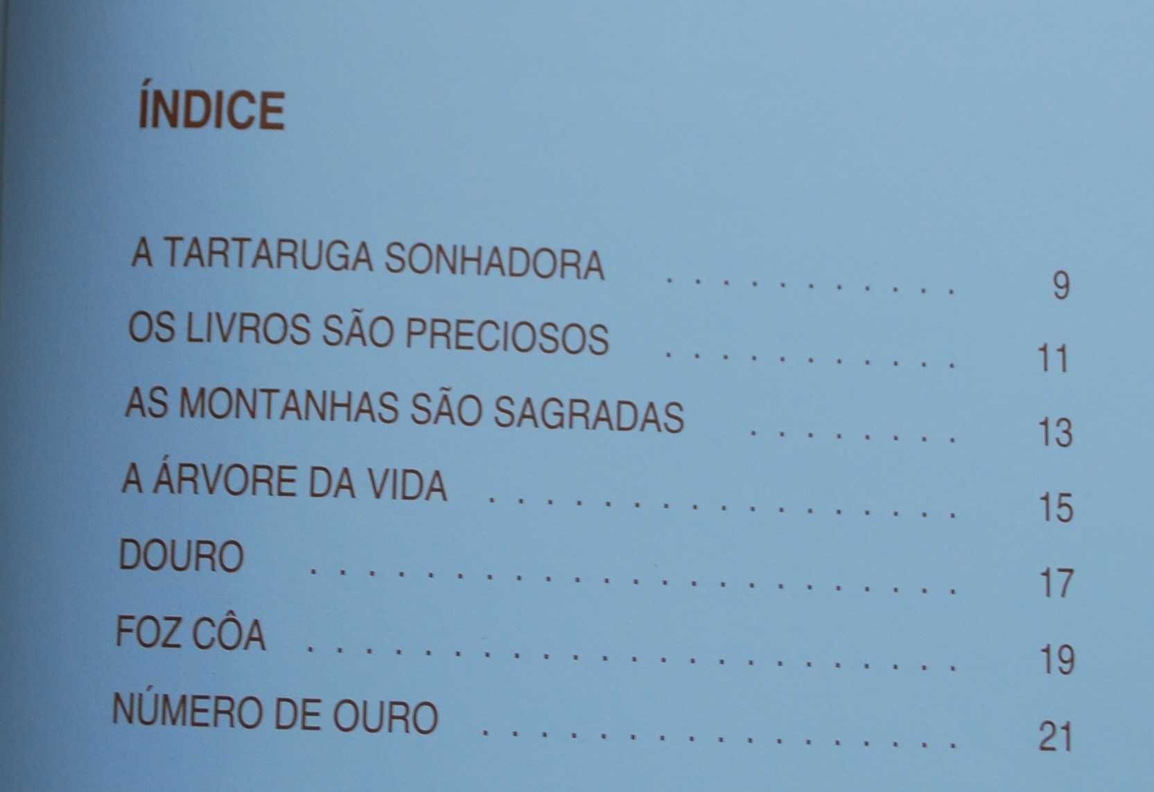 A Tartaruga Sonhadora de Manuela Morais - 1º Edição 2010