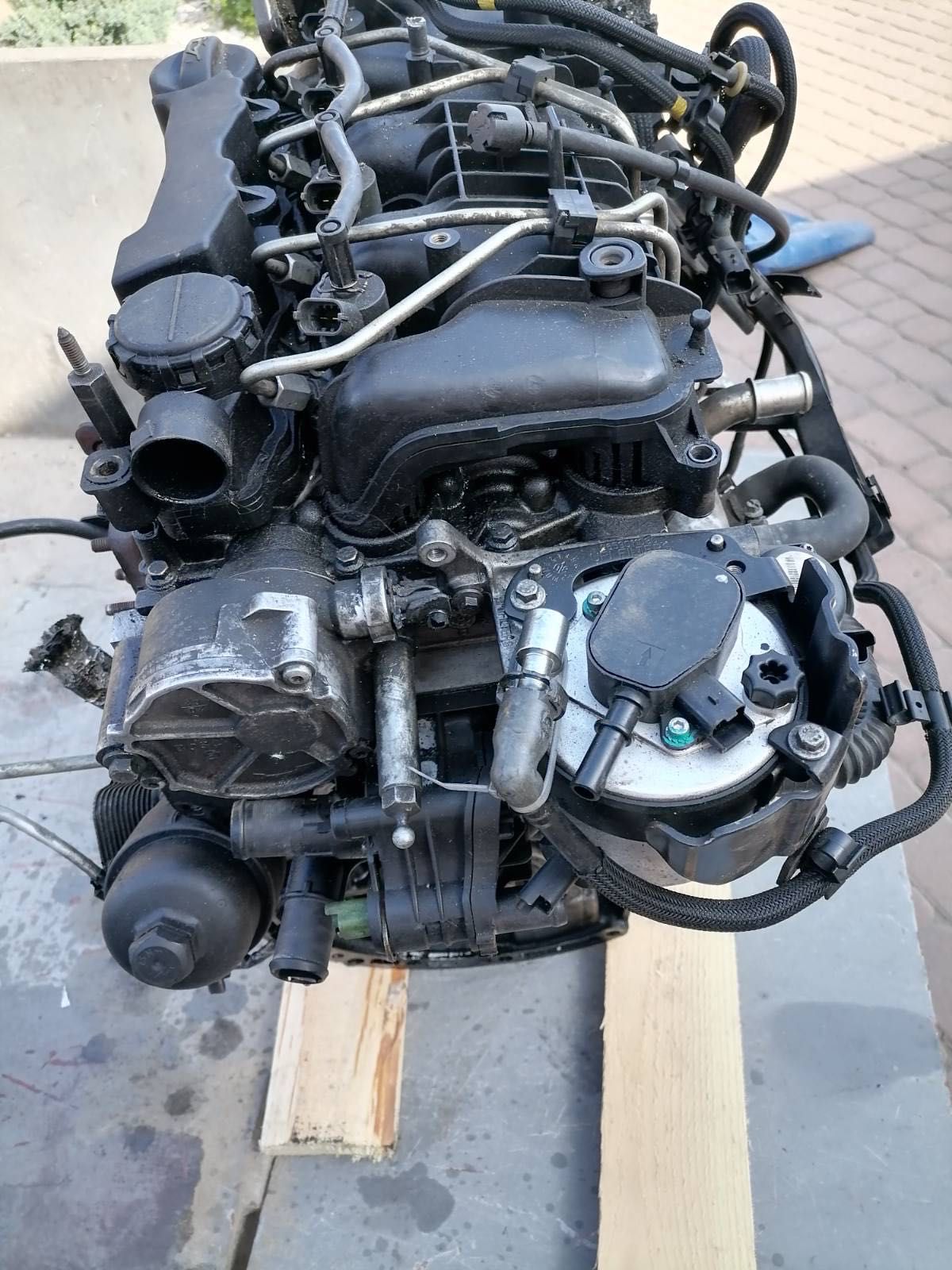 Двигун 9HZ Ford c-max  1.6 дизель
