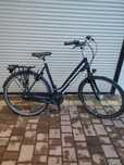 Rower Damka Gazelle
