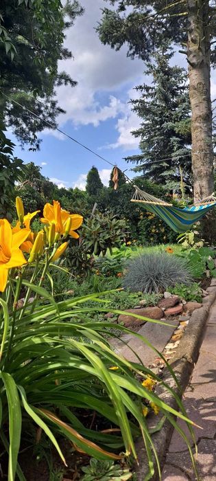 Działka ROD im. gen. Bema ul Rudacka Toruń