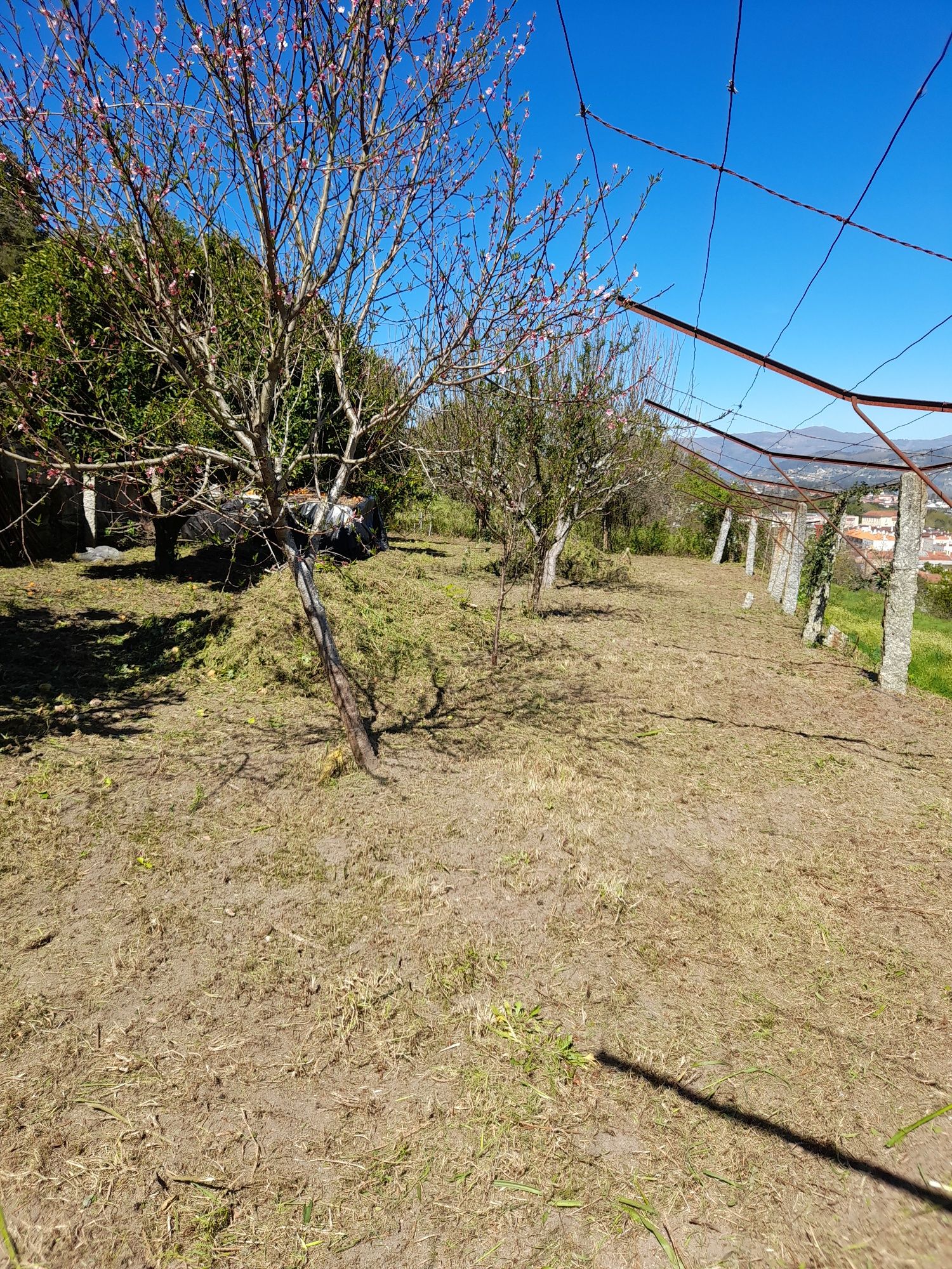 Vendo Andar Moradia