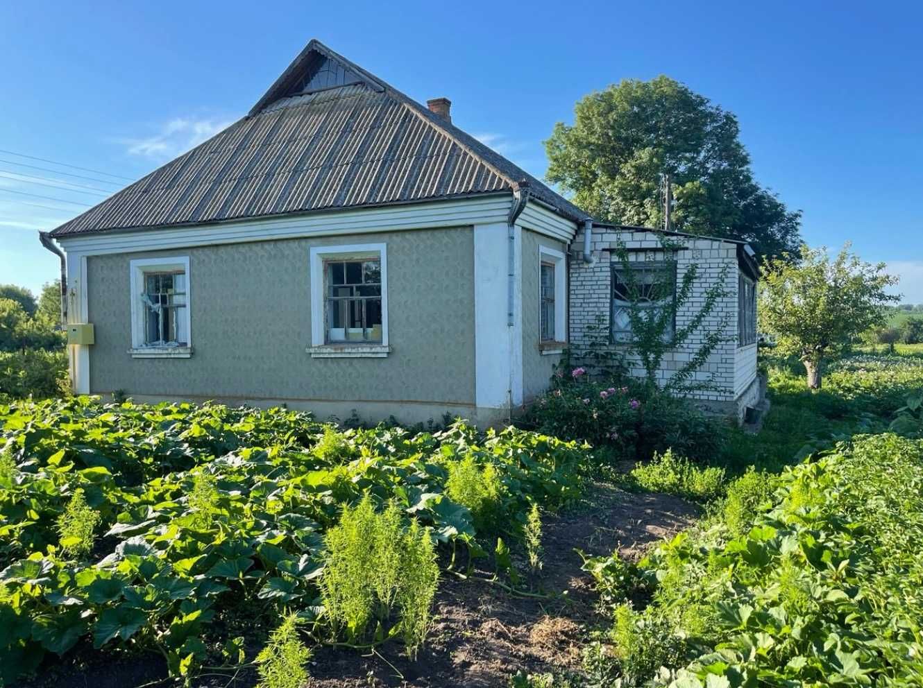 Продаж будинку з землею 36 соток, Хмельницька область