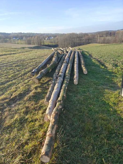 Sprzedam drewno tartaczne