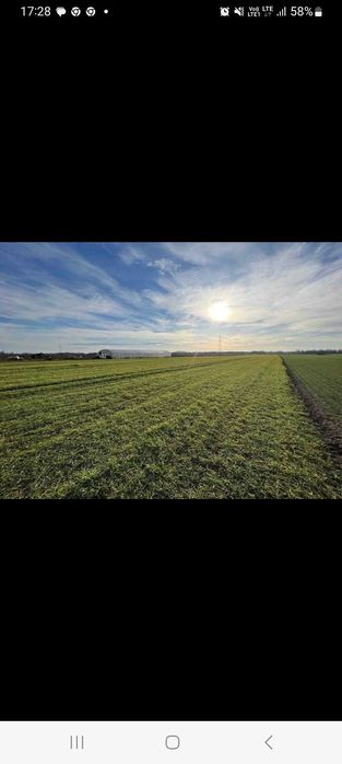 Działki na sprzedaż Bogusławice koło Oleśnicy