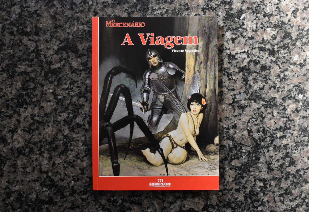 O Mercenário - A Viagem